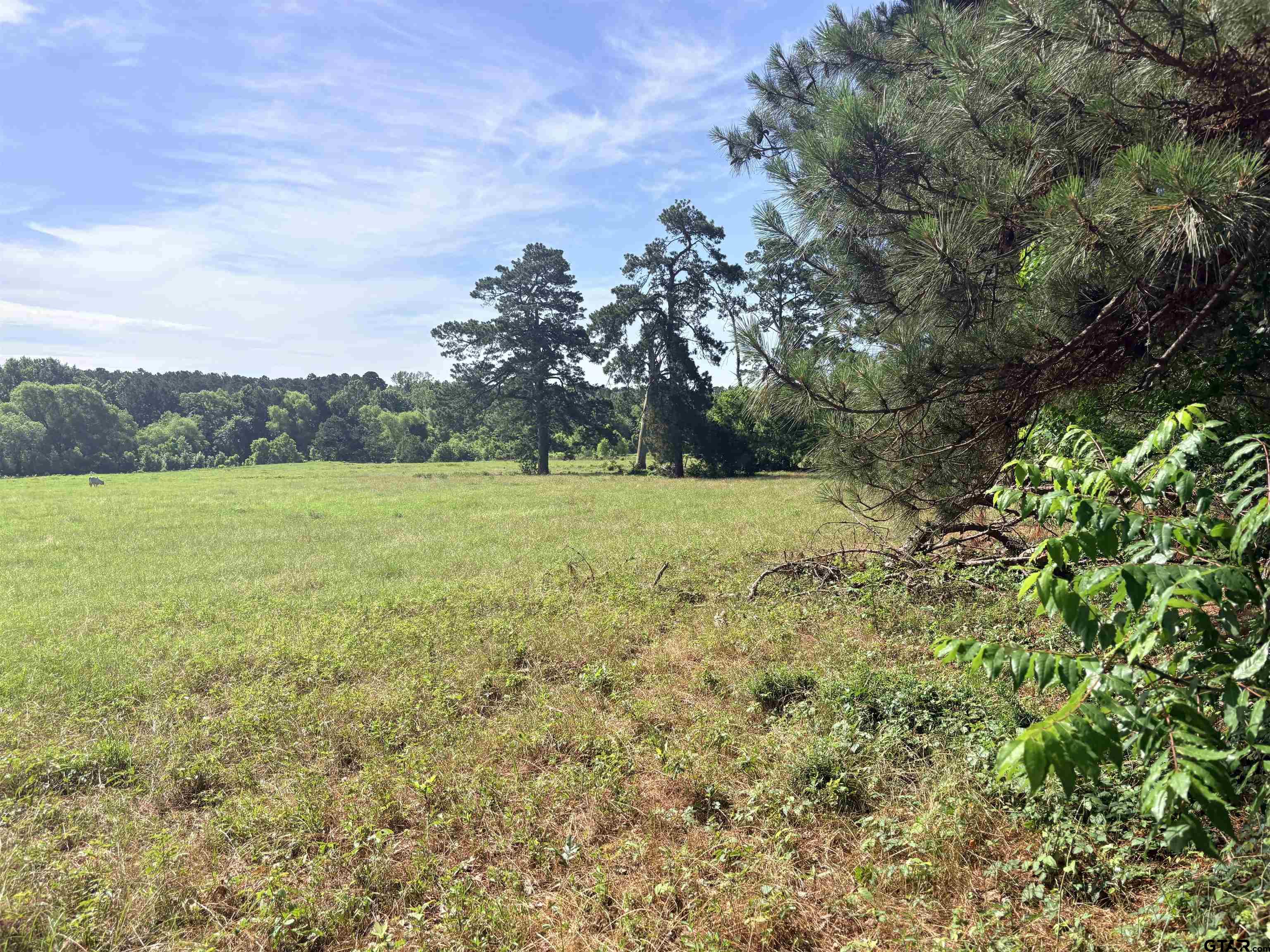 22173 HIGHWAY 135