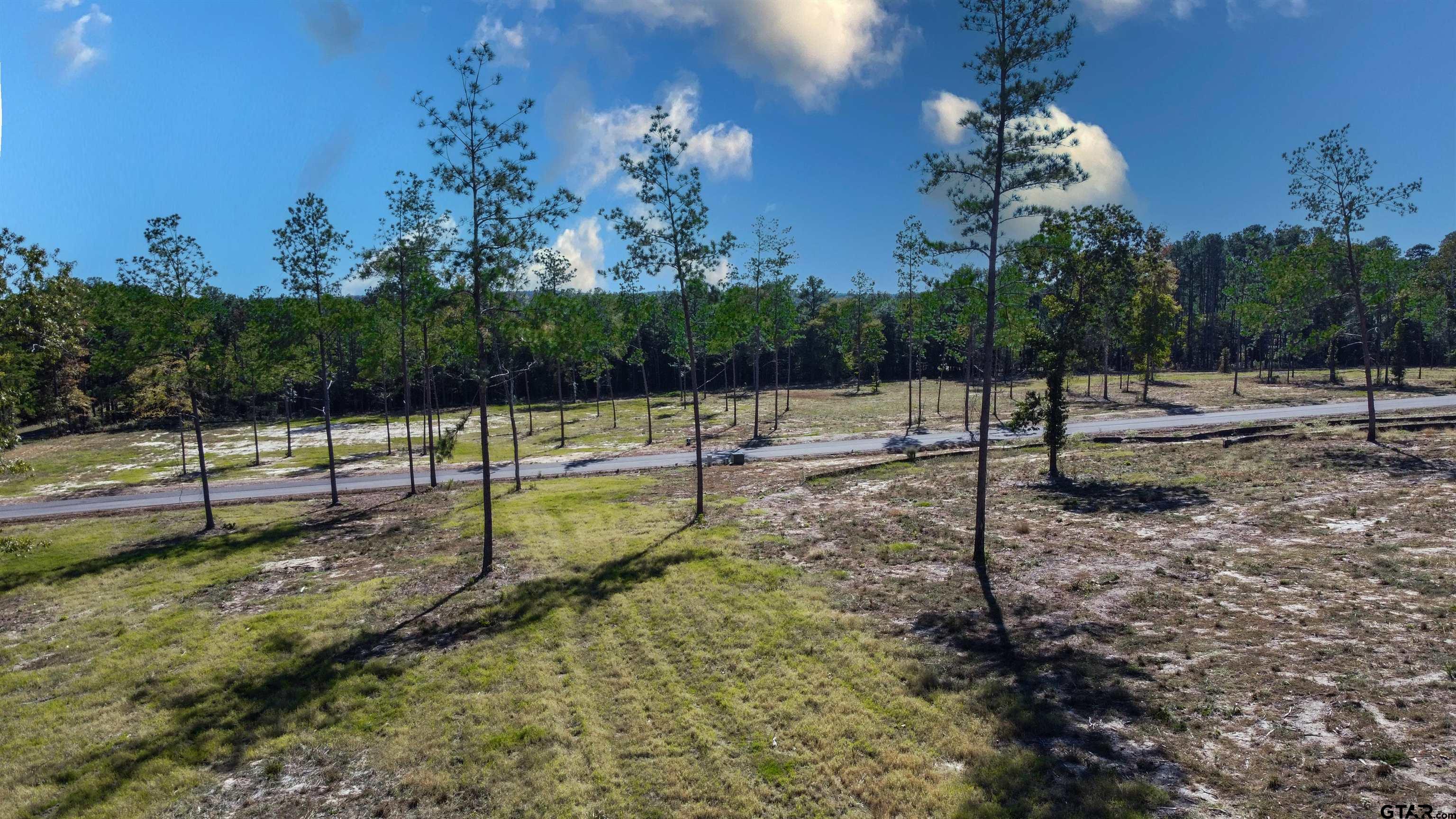 15640 Aniston Ln - (LOT 25)