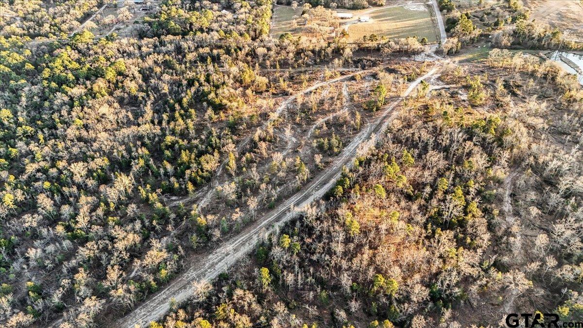TBD County Road 3147 (14.545 Acres)