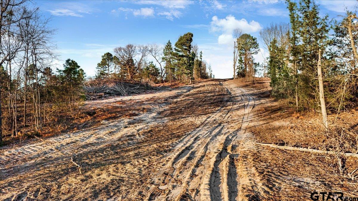 TBD County Road 3147 (14.545 Acres)