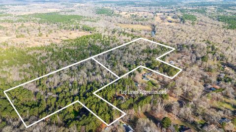 TBD Neches Trace (31.902 Acres inclu lot 8 and lot 14) Palestine TX 75803