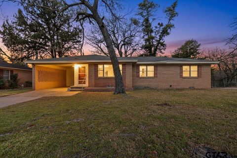 201 Woodbine Drive Palestine TX 75803