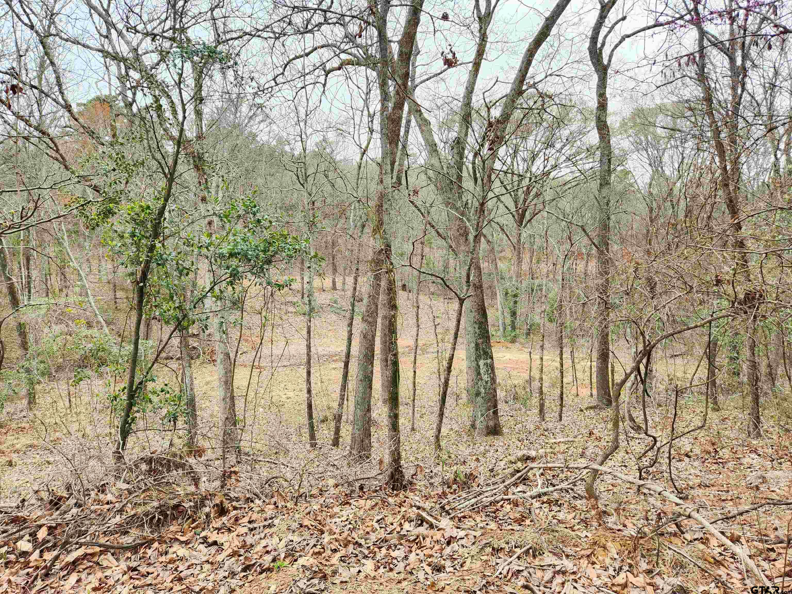 19387 & 19365 CR 4125