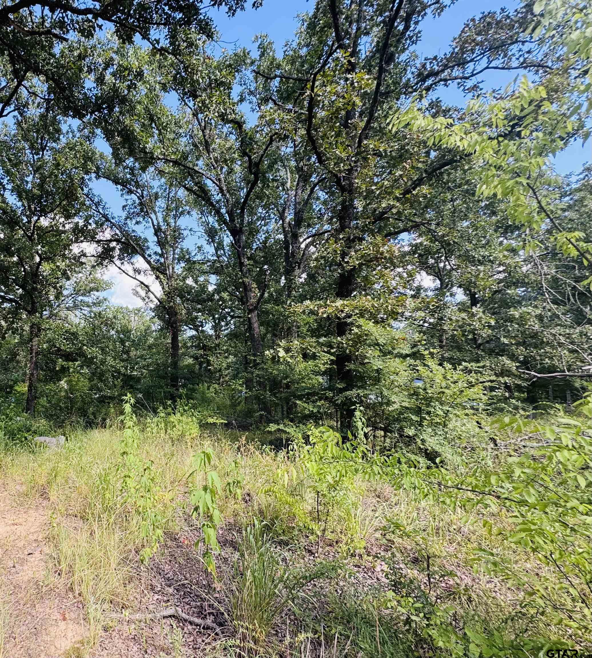 903 Van Zandt County Road 1524