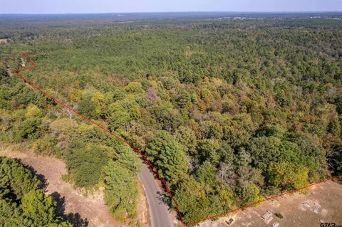 0 CR 352 Winona TX 75792