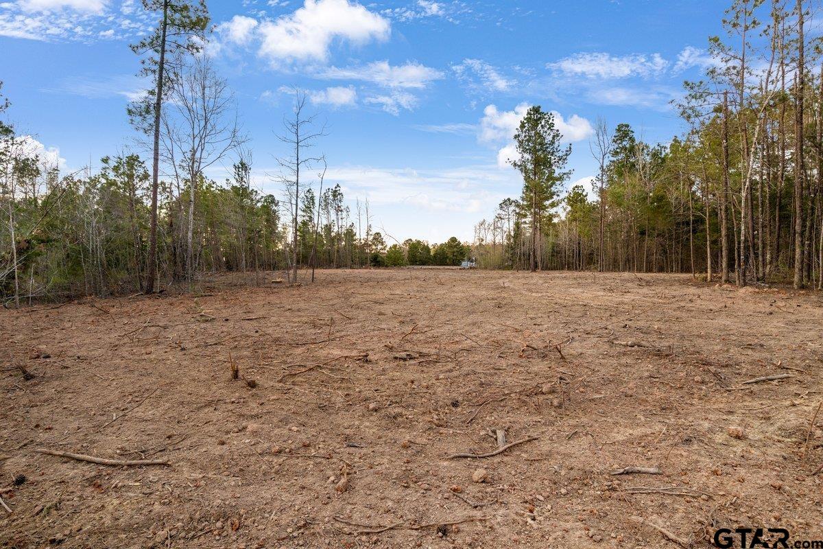 Troup, Texas 75789, United States, ,Land,Active,93592