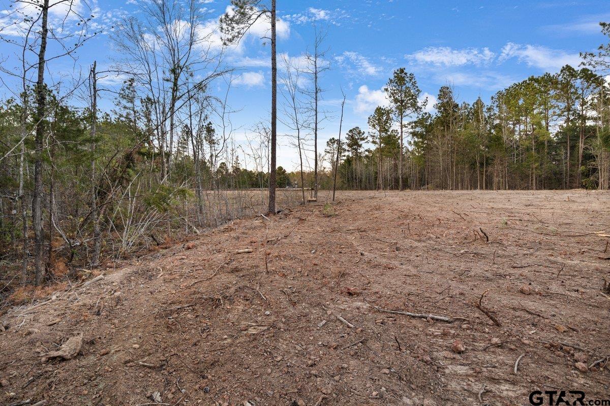 Troup, Texas 75789, United States, ,Land,Active,93592