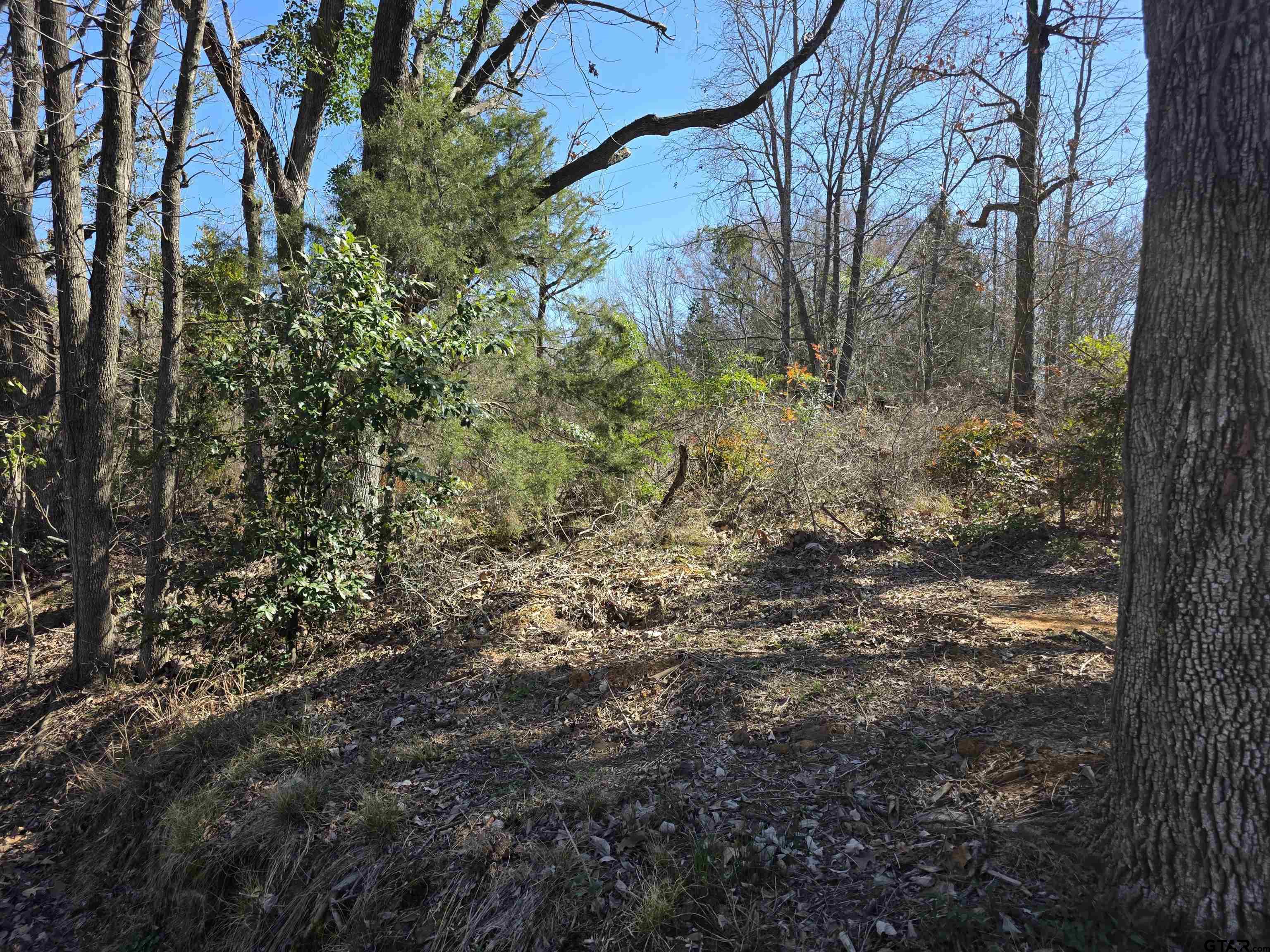 0000 County Road 1420