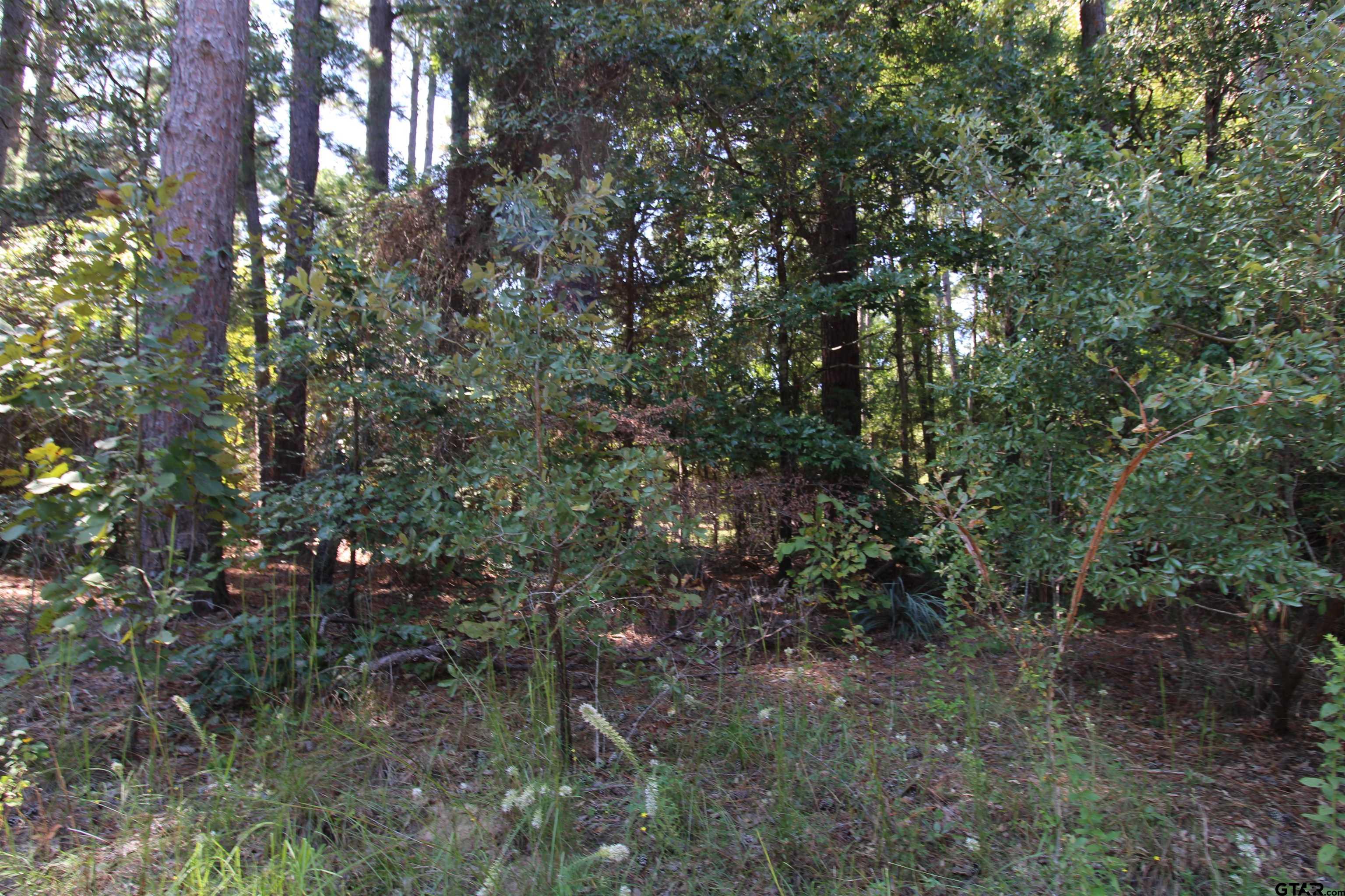 LOT 24 Briar Grove