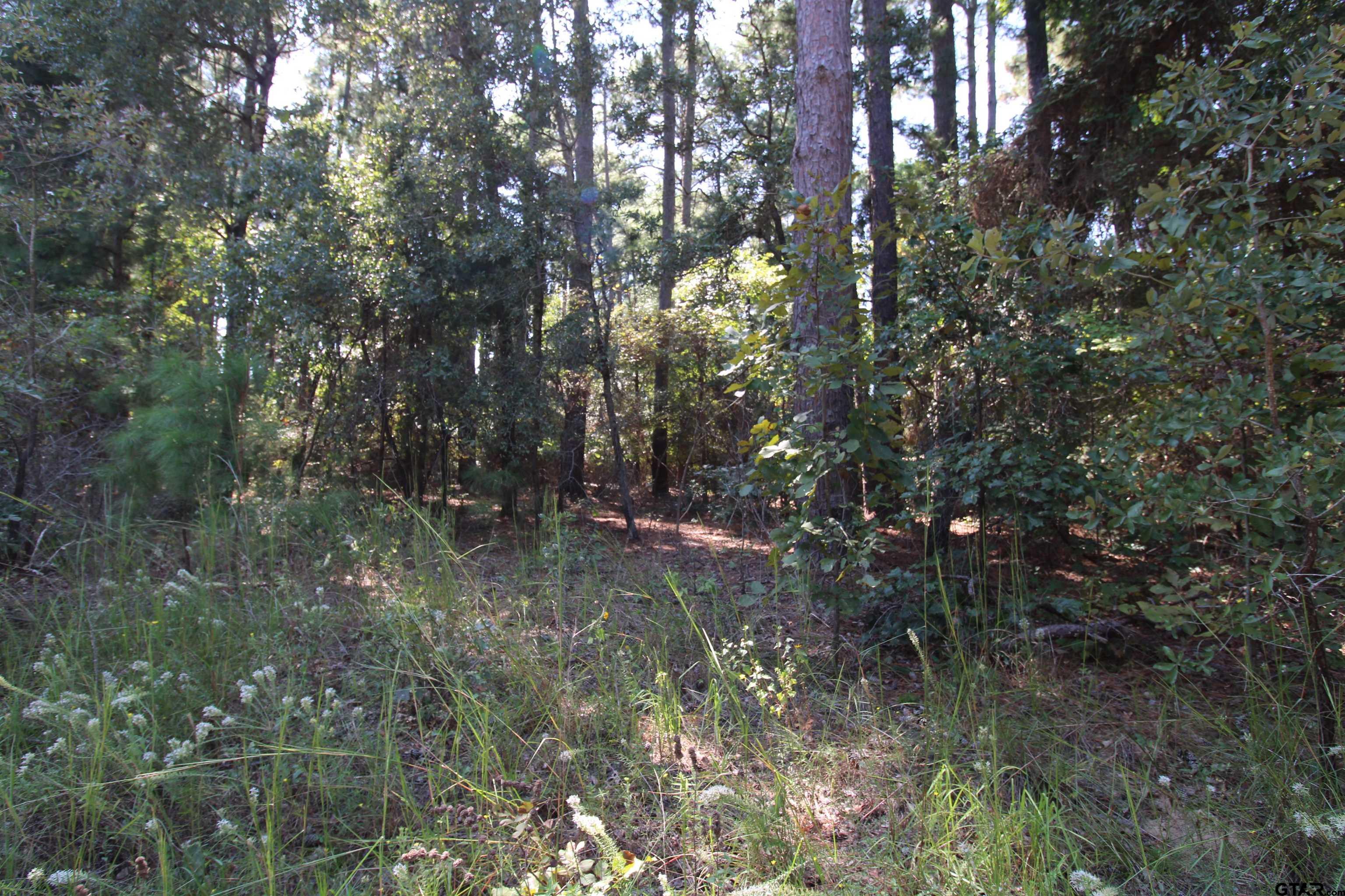 LOT 24 Briar Grove