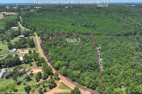 Tract 3 County Road 4102 Jacksonville TX 75766