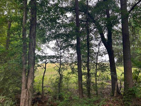 LOT 9  5+ ACRES FM 15 Troup TX 75789
