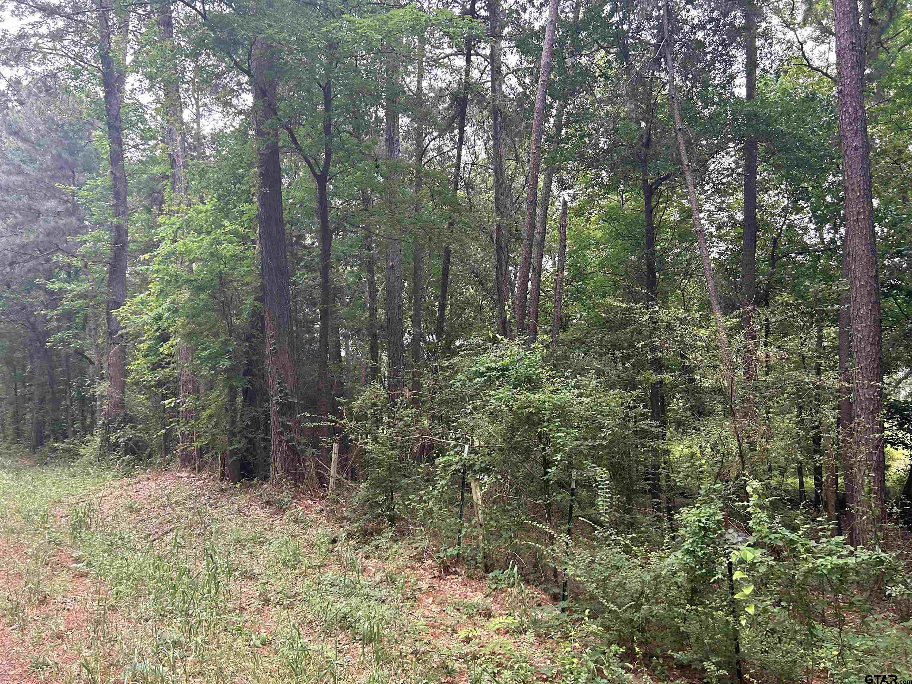 LOT 9  5+ ACRES FM 15