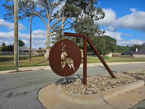 428 Deer Point Cove Chandler TX 75758