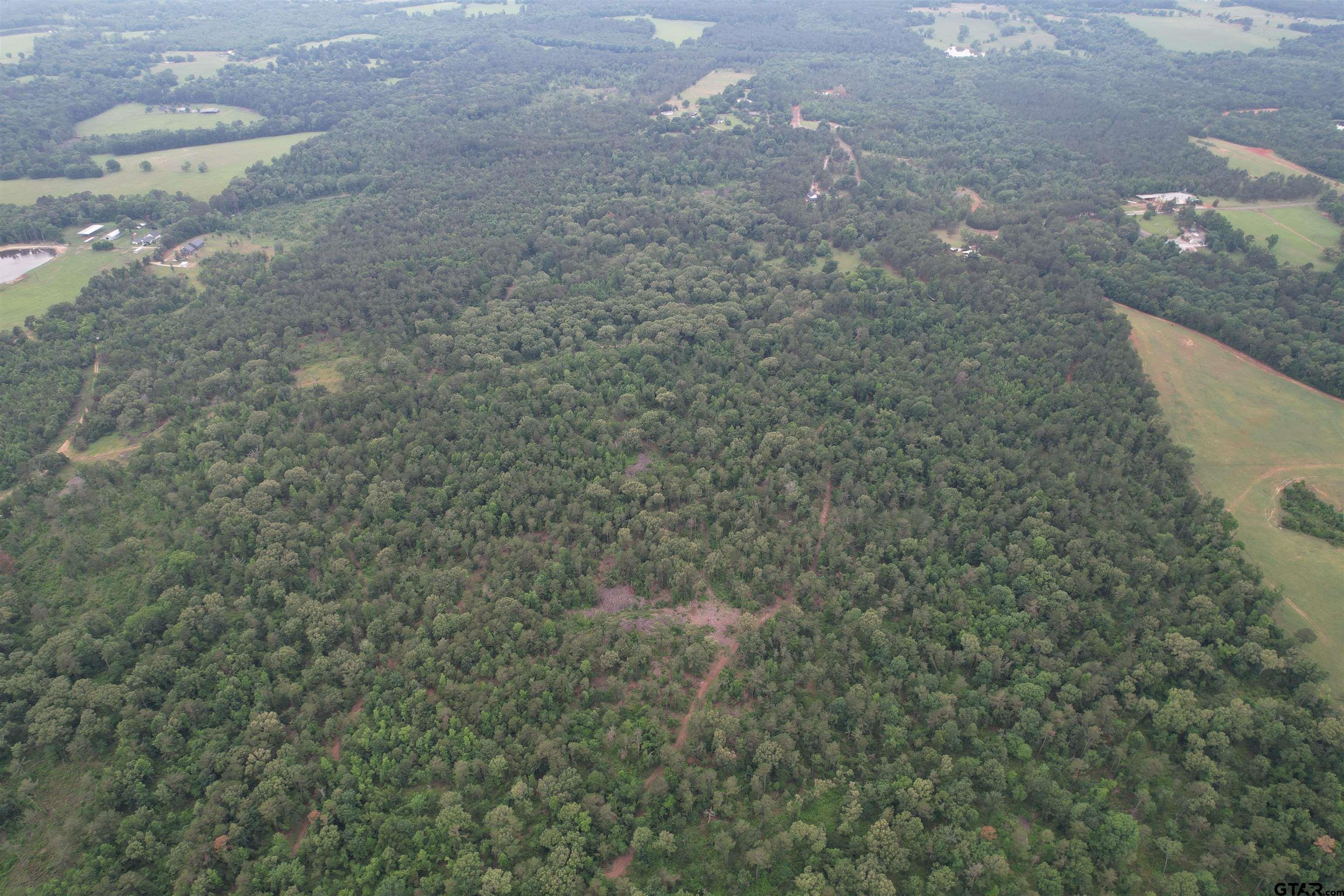 TBD County Road 461