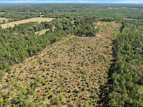 TBD 20-acres Alto TX 75925