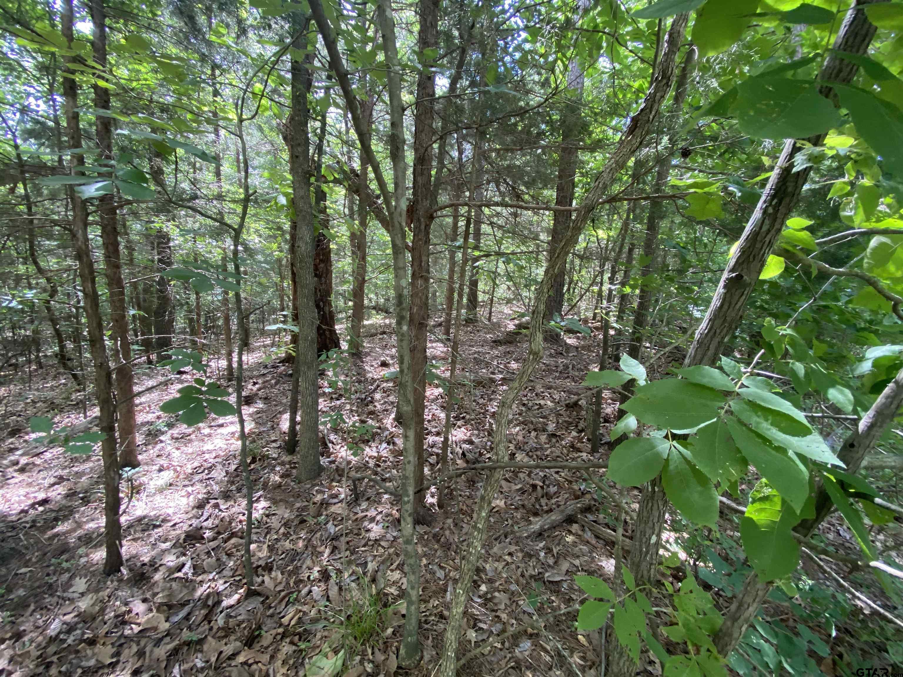 Lot 49 Angelina Dr