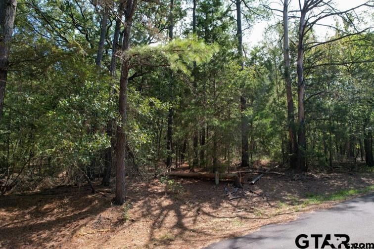 Lot 49 Angelina Dr