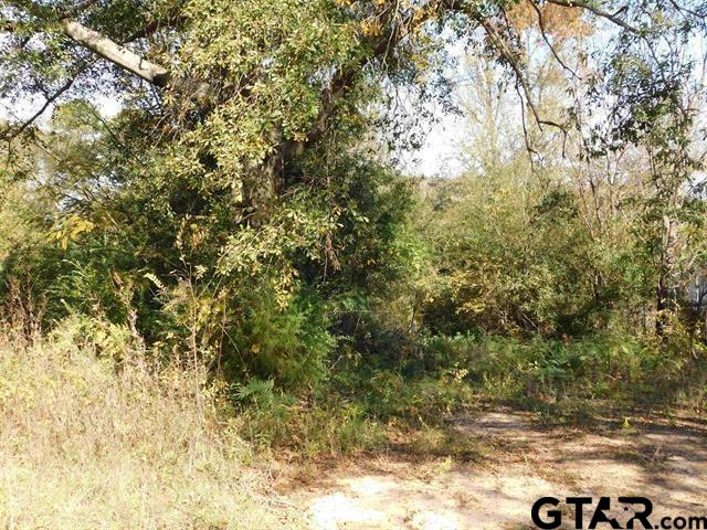 Photo 1 of 1 — TBD INDUSTRIAL BLVD, Gilmer, TX 75644