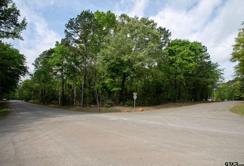 14856 Gold Leaf Ct Tyler TX 75707