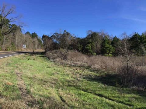 TBD Hwy 154 Gilmer TX 75644