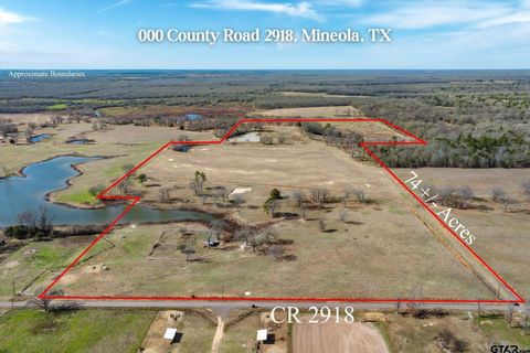 000 County Road 2918 Mineola TX 75773
