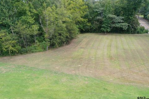 1100 E 3RD ST Mt Pleasant TX 75455