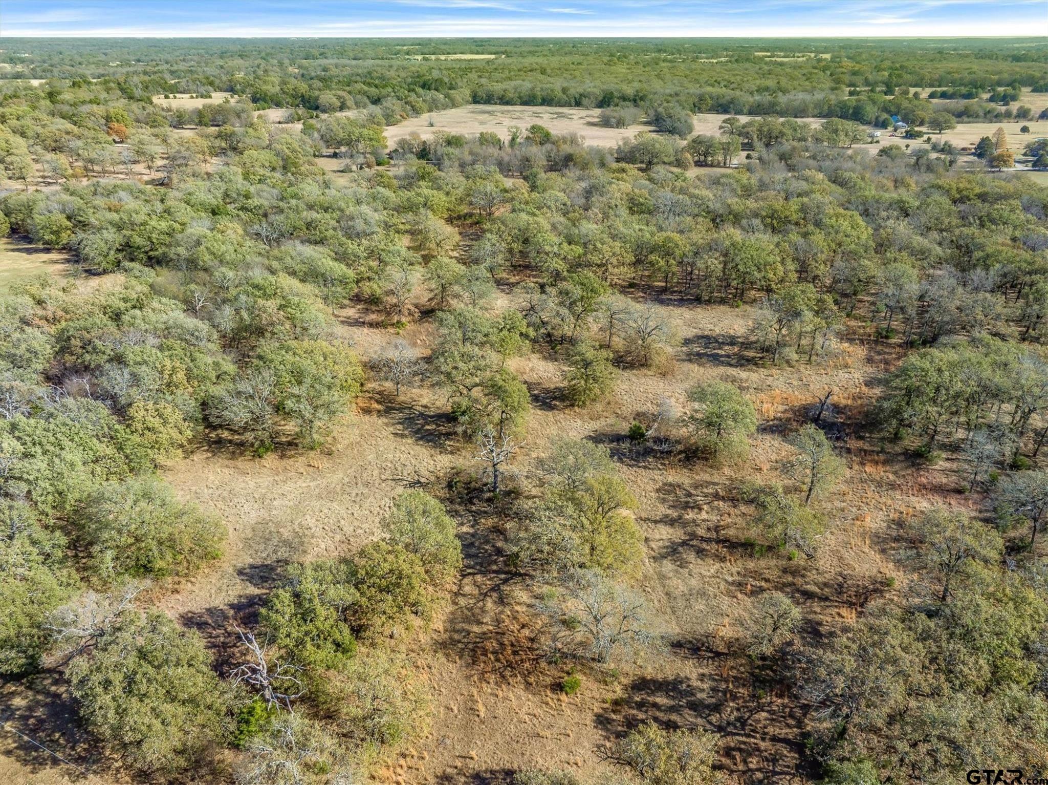 61.40 (+/-) Acres VZ County Road 2145