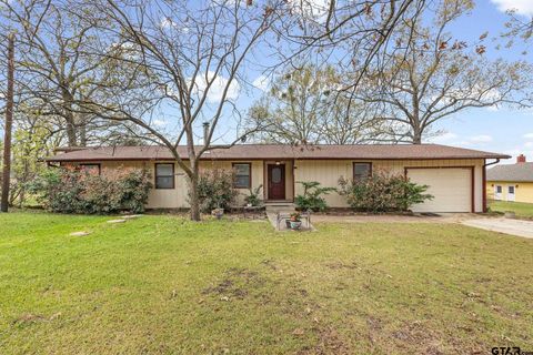 138 County Road 2404 Pittsburg TX 75686