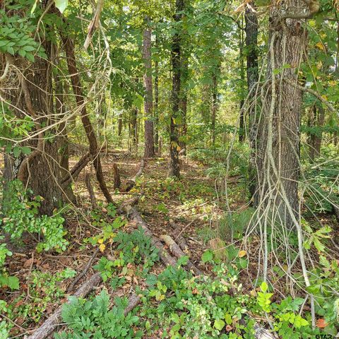 18275 C R 237 Tyler TX 75705