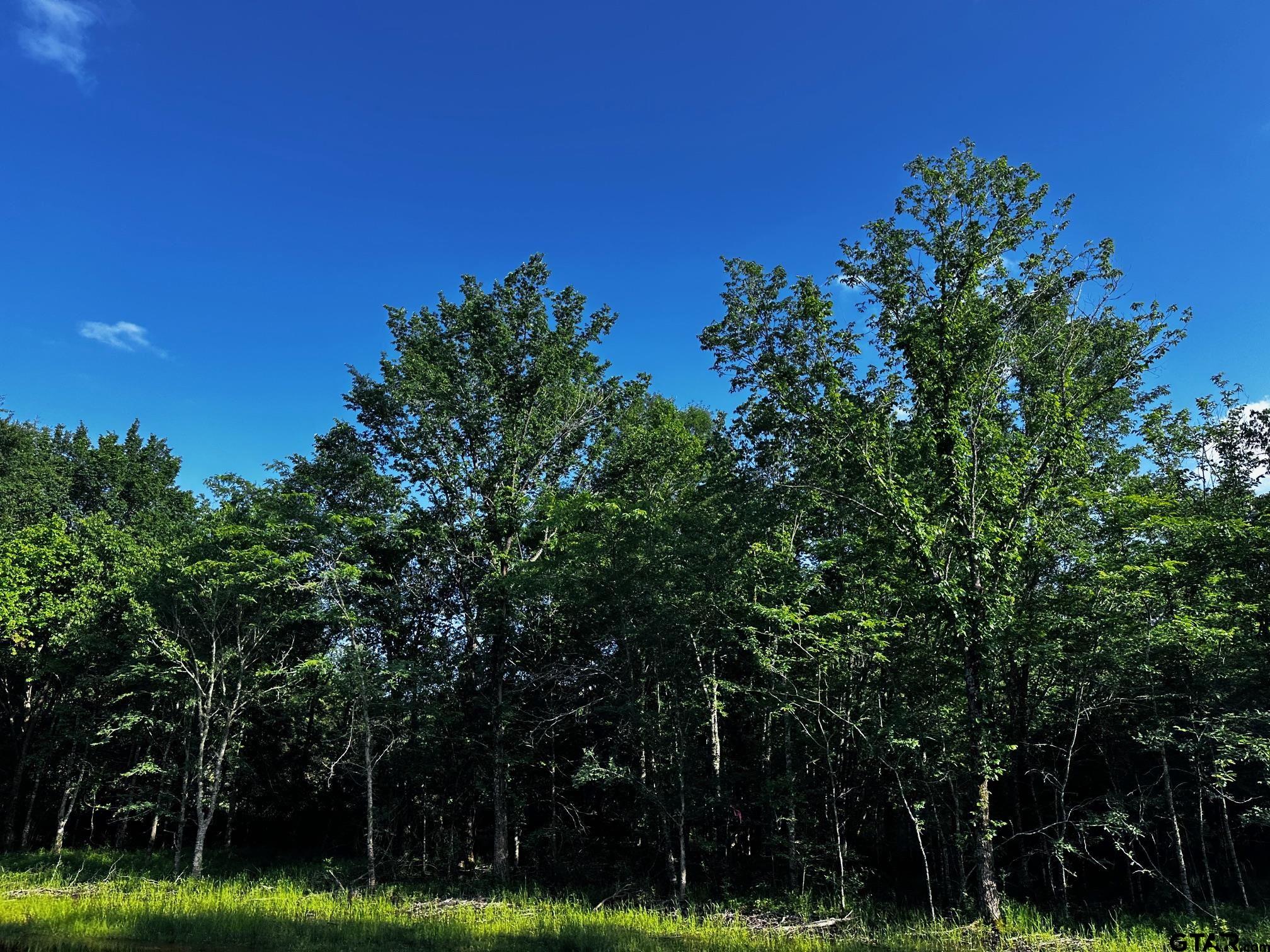 TRACT B / 231 PRIVATE ROAD 8507