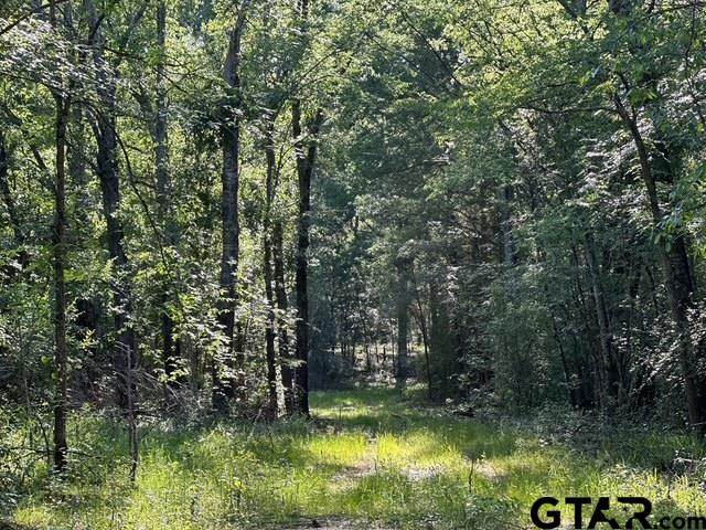 TRACT B / 231 PRIVATE ROAD 8507