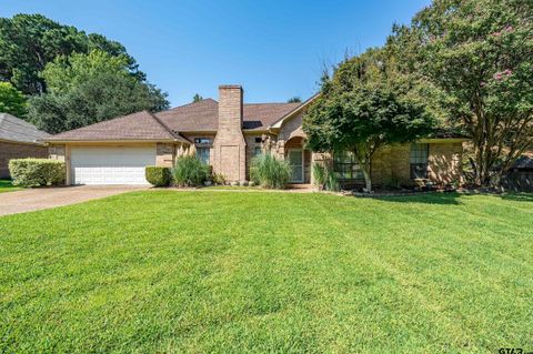 18054 Silver Leaf Flint TX 75762