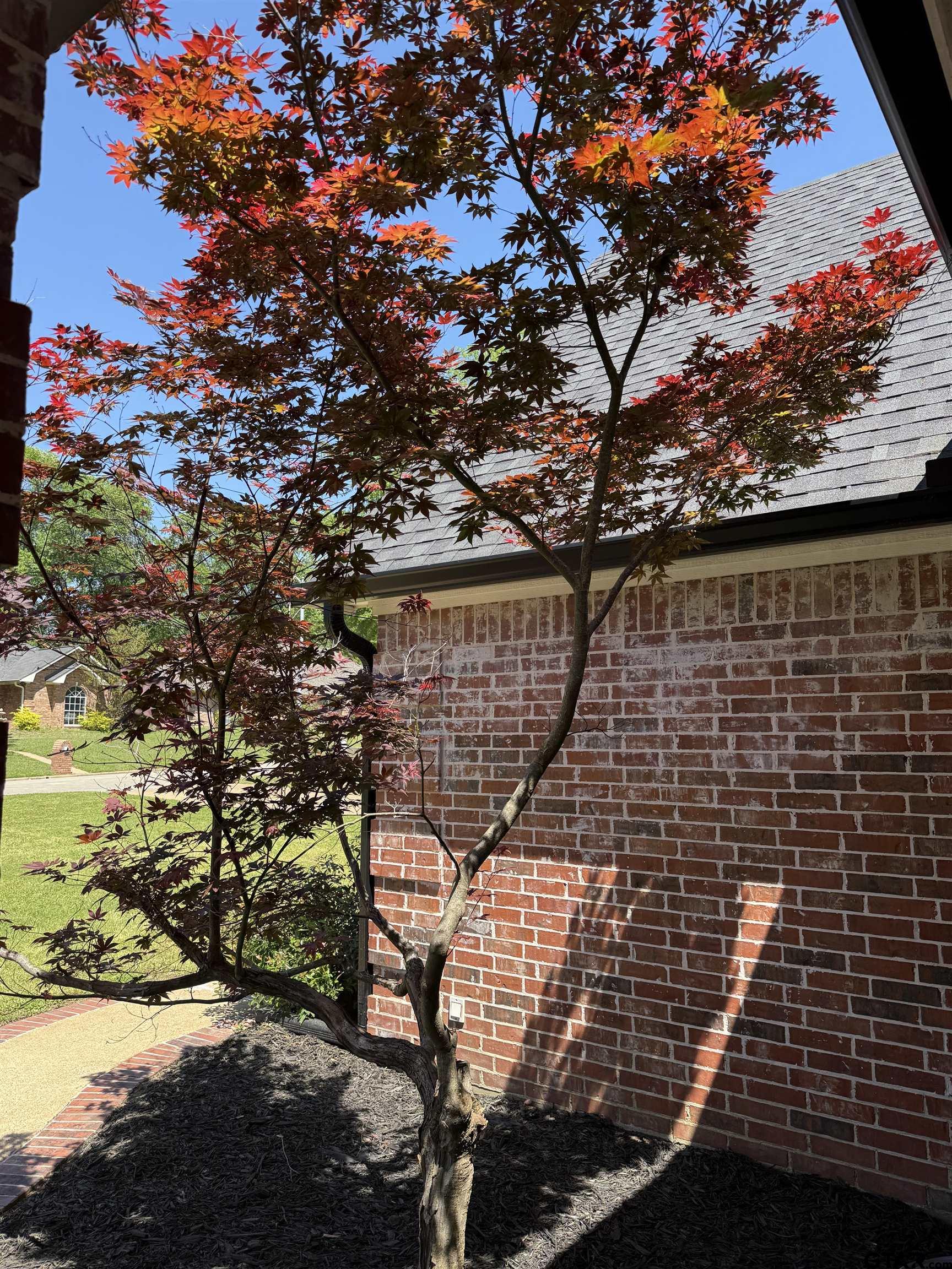 2107 Baylor Drive