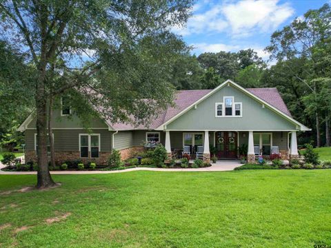 303 Pintail Pl Gilmer TX 75645