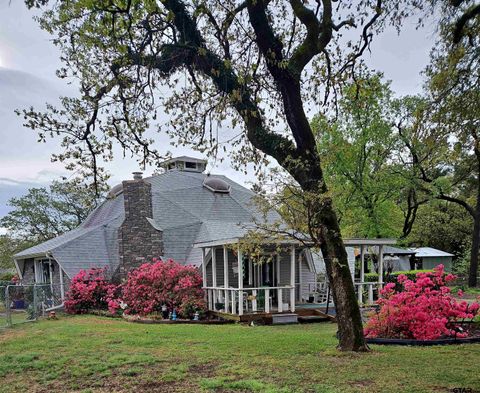 12599 CR 1254 Flint TX 75762