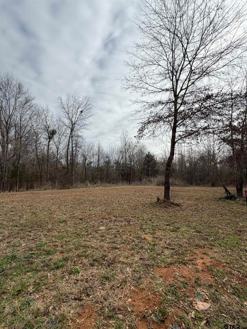(LOT 6) SUNNY MEADOWS BLVD Tyler TX 75708