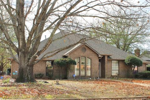 237 Lakeside Place Mineola TX 75773