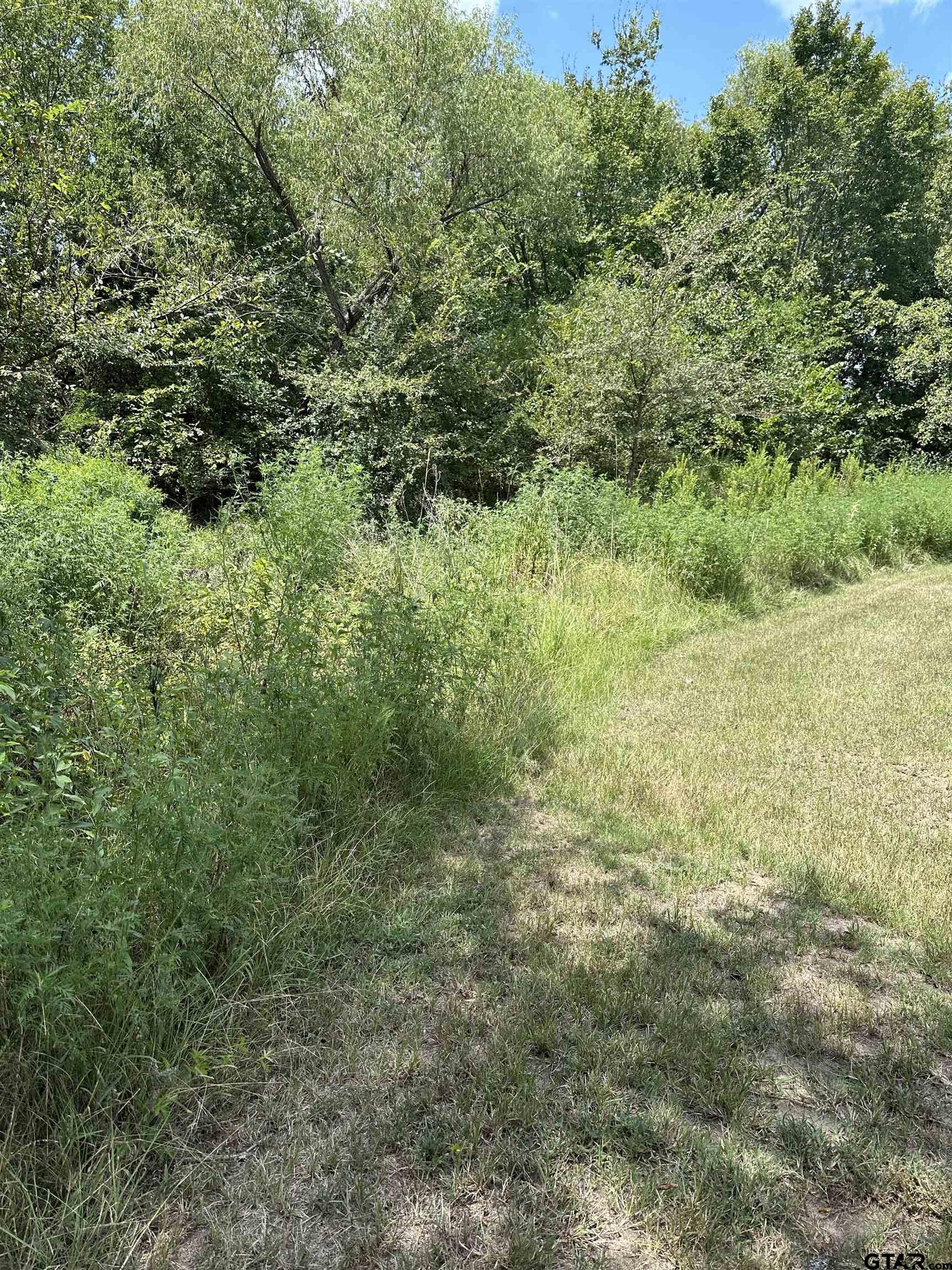 tbd vz County Road 1806