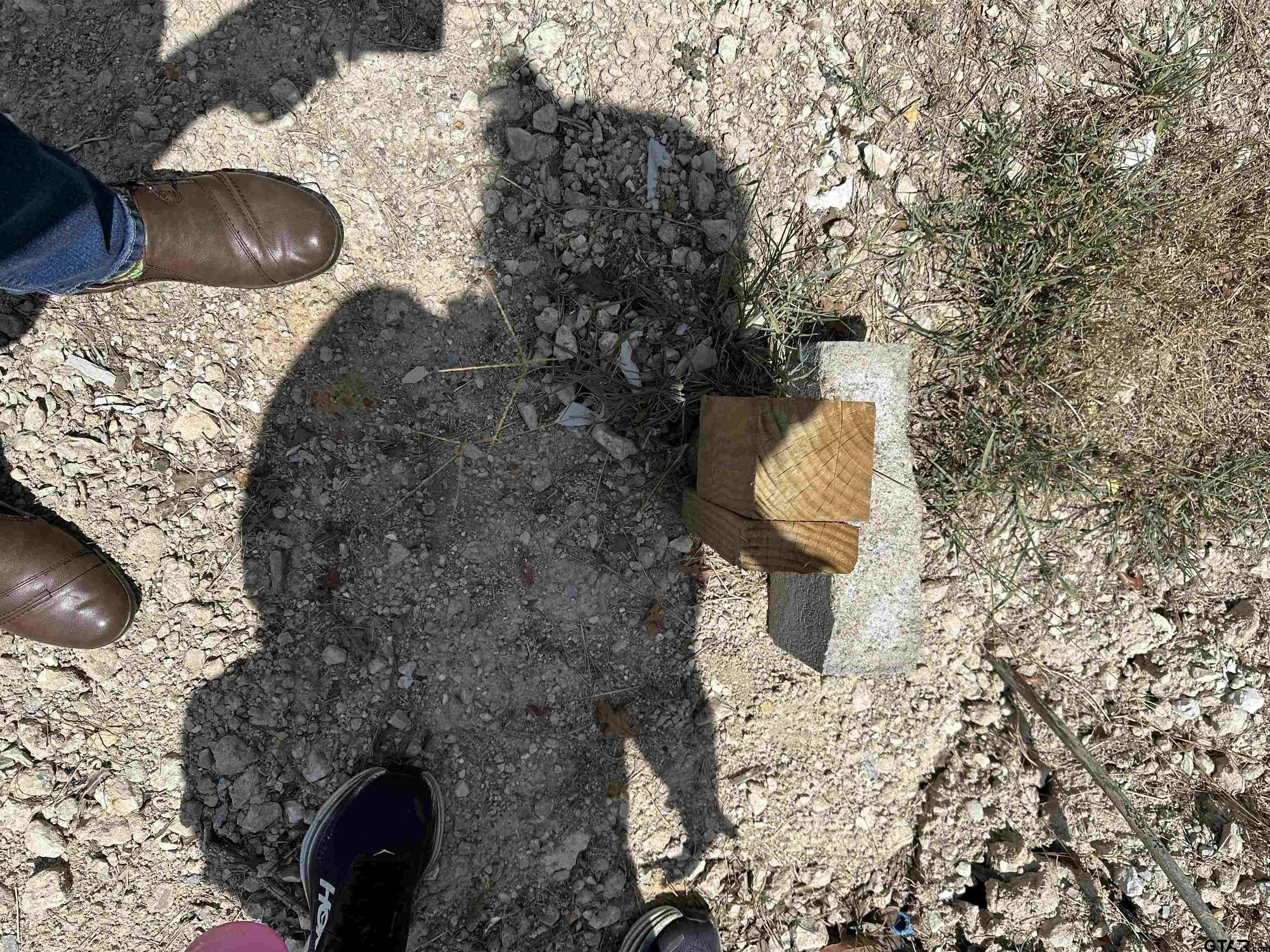 tbd vz County Road 1806