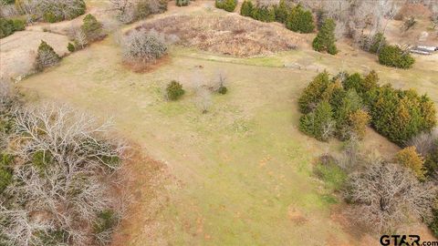 2605 VZ County Road 4923 Ben Wheeler TX 75754