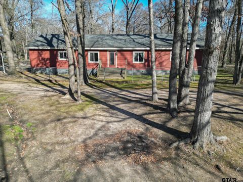 15857 County Road 384 Tyler TX 75708