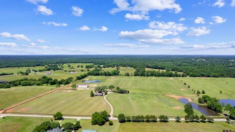 12640 CR 185 Bullard TX 75757