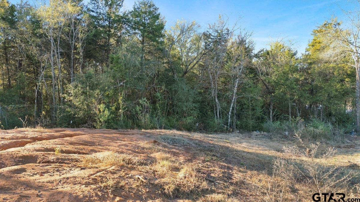 Bullard, Texas 75757, United States, ,Land,Active,249303