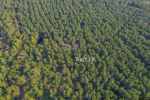 Tract 18 CR 4224 Frankston TX 75763
