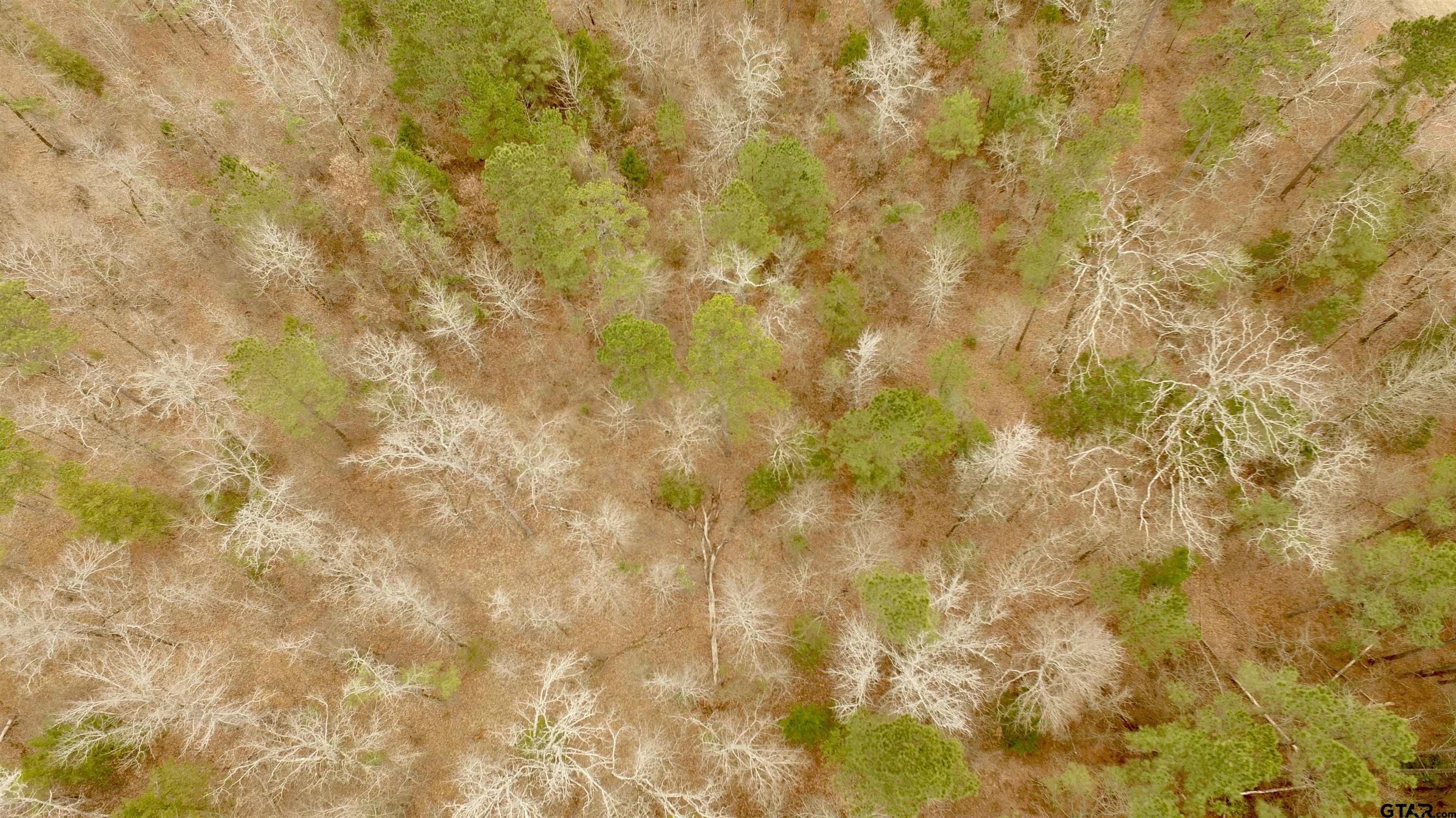 TBD CR 2307 BEASLEY RD