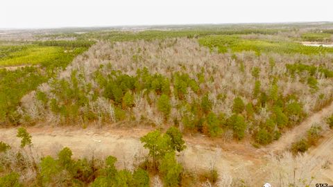 TBD CR 2307 BEASLEY RD Lone Star TX 75668