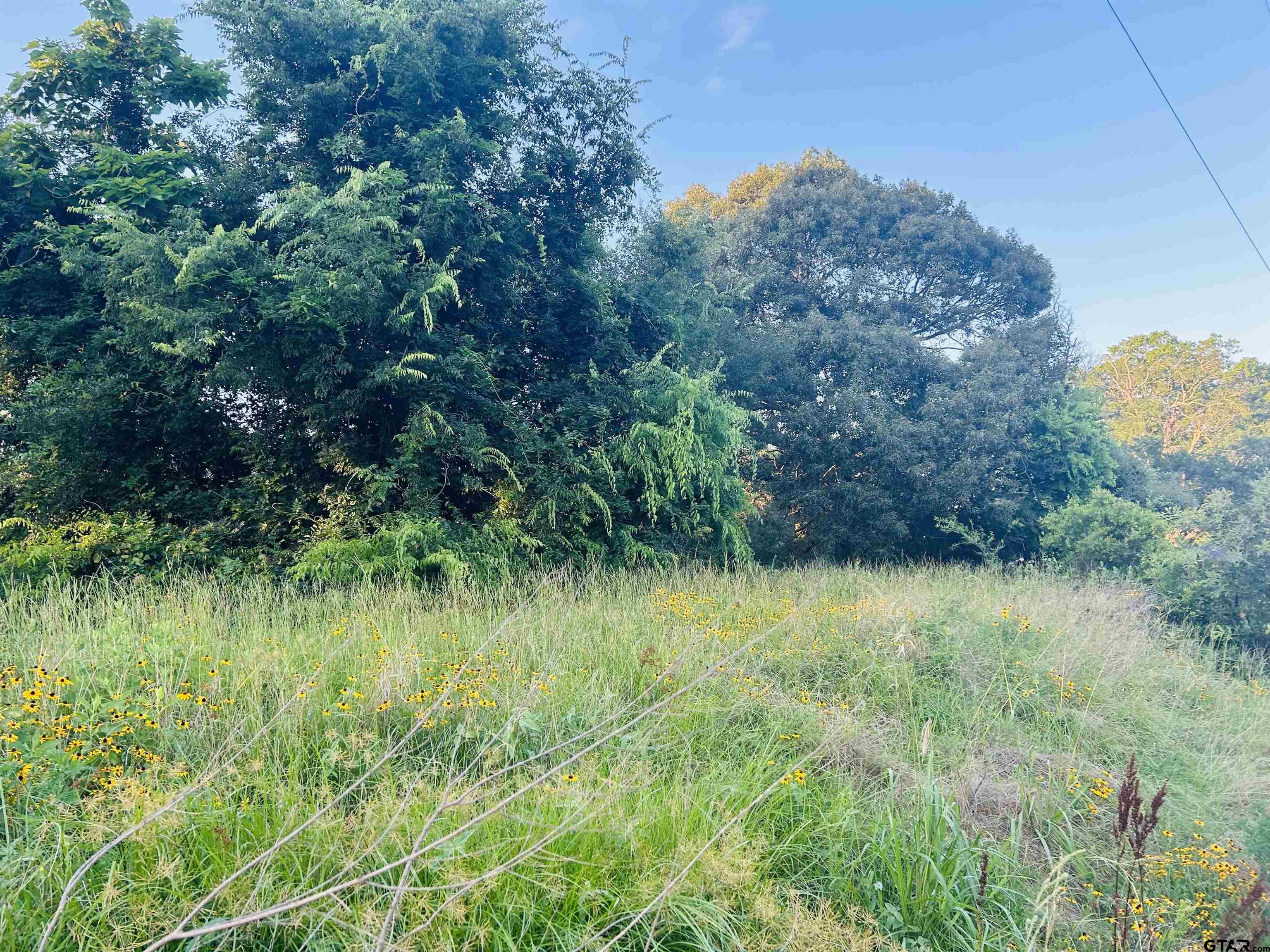 Troup, Texas 75789, United States, ,Land,Pending,54729