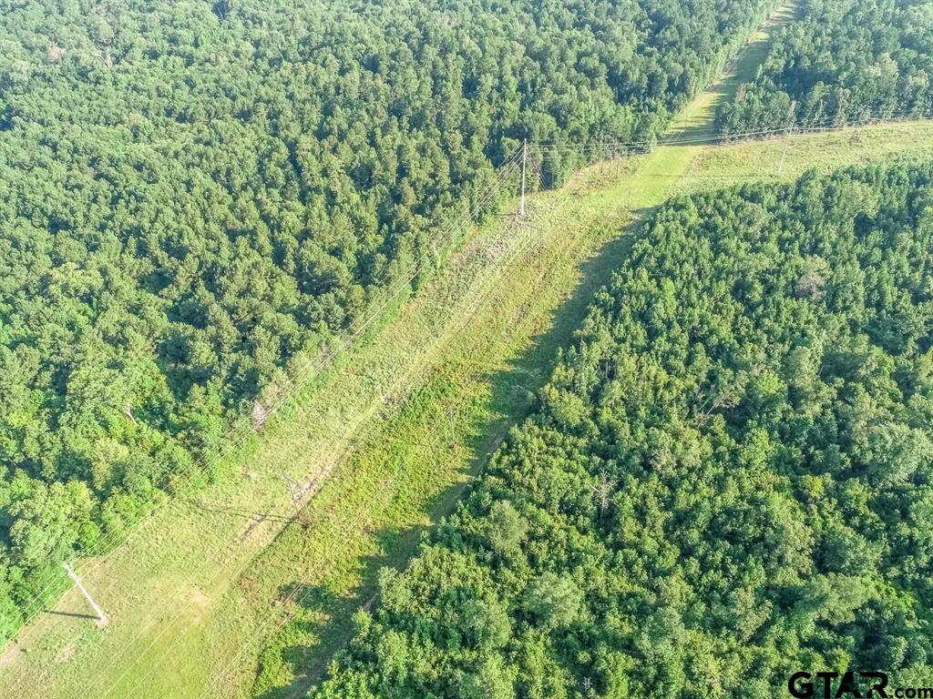 TBD HWY 259 & SEGO LILY RD
