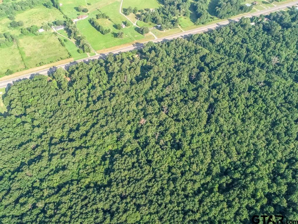 TBD HWY 259 & SEGO LILY RD